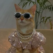 бьюти телега