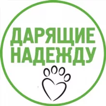 Дарящие надежду — фонд помощи животным