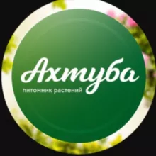 АХТУБА Садовый центр | Волжский