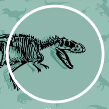 doodlegram / новости про блогеров