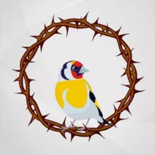 Тернистый путь