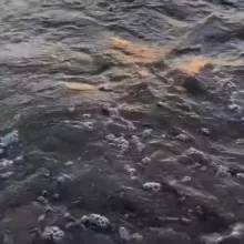 Як хотира🌾