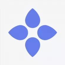 Bloom Official Community