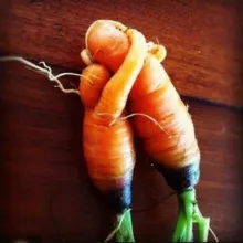 НАЗАД, К ЗДОРОВЬЮ!