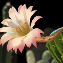 Мариэльская Vпадина 👁