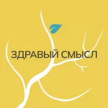 Практики Здравого Смысла | основано на Социократии 3.0