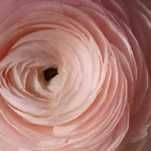 монологи о нас