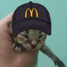 Вечный инструктор