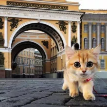 🔥 Фонтанка СПб