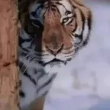 КАНИМЕХ мол бозари ОЛХ барахолка, УНИВЕРСАЛ, (савдо дуне буйлаб)👍