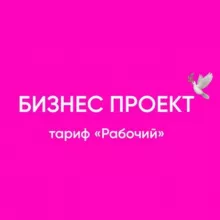 БИЗНЕС ПРОЕКТ
