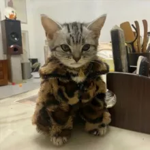 Изя такая: