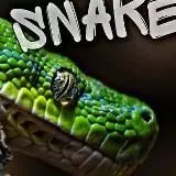 Big Snake Bar 🍸