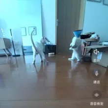 世界真相|人类起源|细思极恐