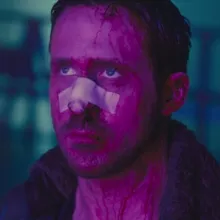 Кругообіг Йонансінів у природі