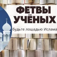 ❖_ФЕТВЫ УЧЁНЫХ_❖