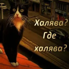 Москва👌Халява😎