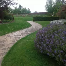 Devocionales y Predicaciones Cristianas Evangélicas