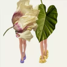 Природа вещей