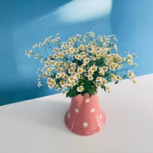 ФОТО ФОНЫ ДЛЯ СТОРИС