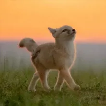 May All Beings Be Happy ✨💕