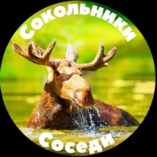 Сокольники Соседи