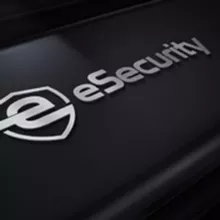 eSecurity - P4P0 sobre TI