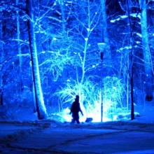 Финляндия изнутри. Личный опыт финской жены .