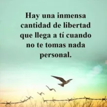 Y tú qué sabes? Canal