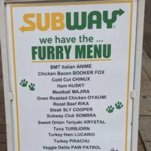 FurMemes🦊🐺🦁🐯🐶