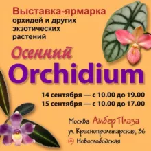 Орхидиум🪴💚