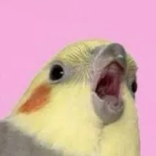 Я орал меня ловили