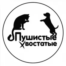 "Пушистые-Хвостатые" - ЛАПКИ 🐾 ДОБРА ❤️ LIVE