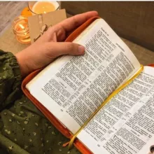 Стихи Aни Стрибуль 🌱