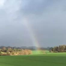 Codes of Joy🧚🏽‍♀️🌈🌷Herzensfreude