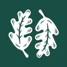 Молодёжный лагерь «Дубрава»