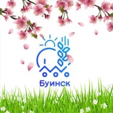 Совет Буинского муниципального района