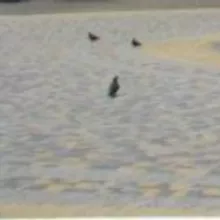 Брусчатка на Казачьей площади