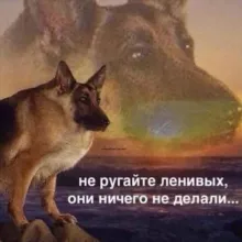 Цитатник ПсковГУ