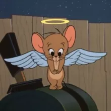 Ваша Даша ❤️