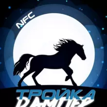 Орден Дамплиеров