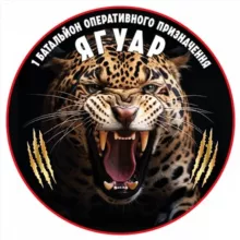 Працює батальйон "ЯГУАР"