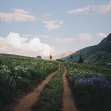 Дорожный - Фотографии дорог