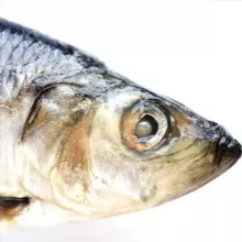 Под Селедочку