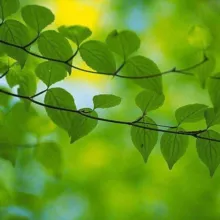 🎙ВДА "Весна". Спикерские ☀️🌿💐