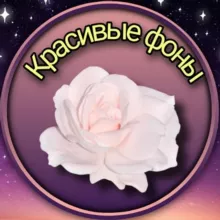 КРАСИВЫЕ ФОНЫ