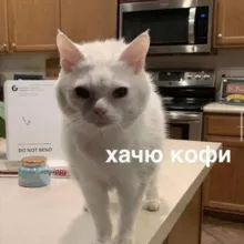 Шерстяной уголок