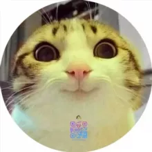 台灣老司機入口（暗黑界