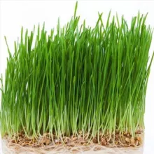 𝔻𝕒𝕝𝕟𝕚𝕜.𝕣𝕦