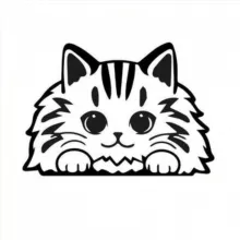 LMpets - дом кошачьего счастья 😻 Здесь находят друг друга 💞